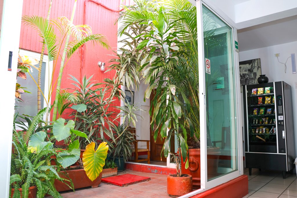 Patio interior con plantas